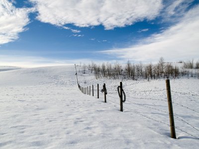 Prairie winter fence line ...