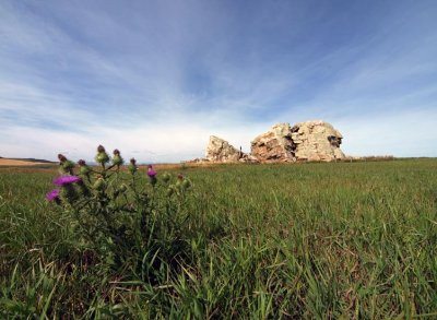 Okotoks Erratic - and thistle