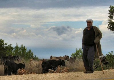 A Bedouin Shepherd - Mount Carmel.JPG