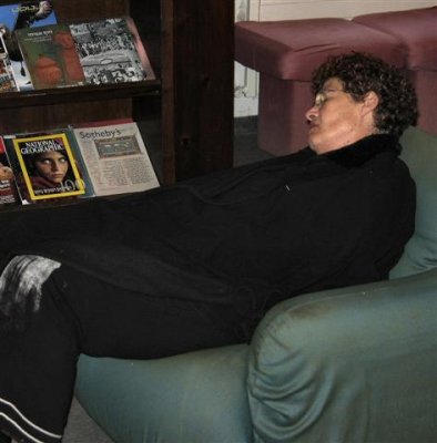 A Nap In A Library.JPG