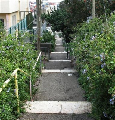 One More Descending  Alley From Ha'shomer St.To Downtown .JPG