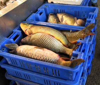 Live Fish Are Also Being Offered At Street Counter.JPG