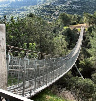 Suspended Bridge - In A Nature Reserve, Israel.JPG