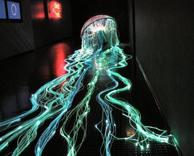 A Jellyfish (in exhibition).JPG