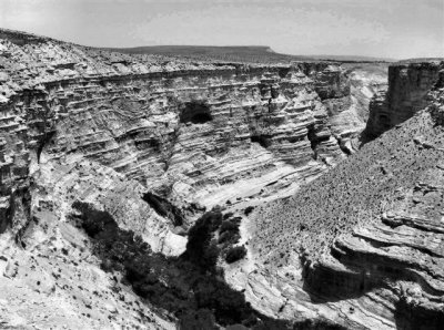 A Canyon in The Negev.JPG