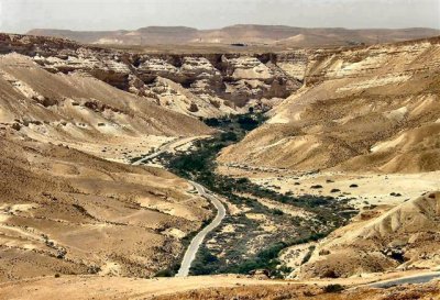 Excursions in the Negev region.JPG
