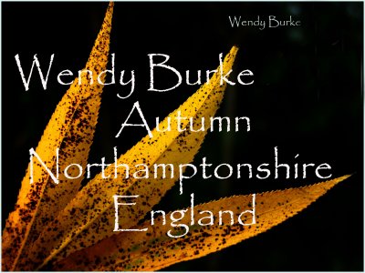 Wendys English Autumn Fall