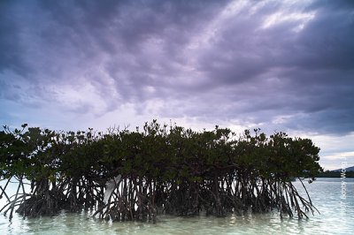 _MG_6631-web.jpg