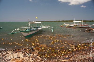 _MG_5697-web.jpg