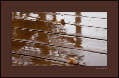 Rainy Day on the Deck