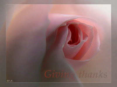 giving thanks<br>23-11-2006