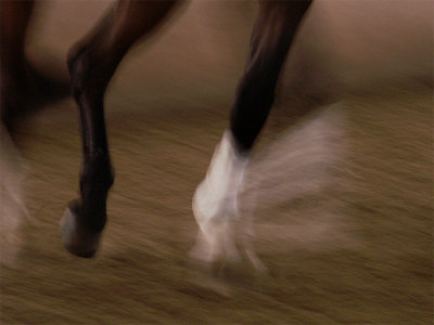 ghost rider21-05-2007
