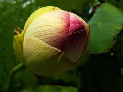 g6/82/591082/3/82424951.T8UhAYIs.jpg
