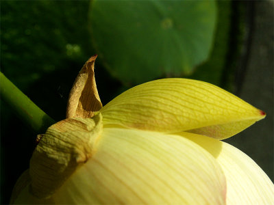 g6/82/591082/3/82496891.IYpYeYSd.jpg