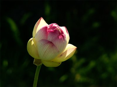 g6/82/591082/3/82496940.7qa6Whzx.jpg