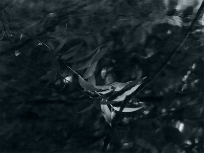 objects in the dark