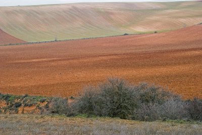 CRW_7574.jpg