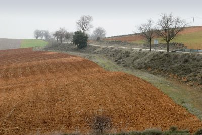 CRW_7575.jpg