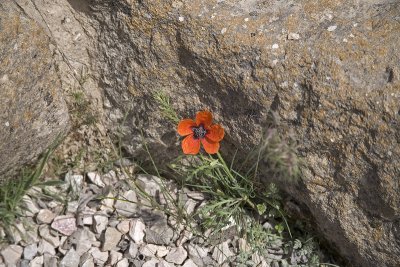 IMG_8676.jpg