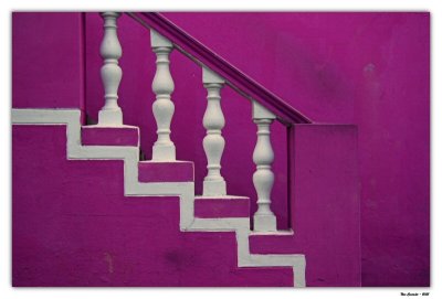 Purple and White