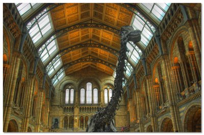 Natural History Museum Entrance Hall (2)