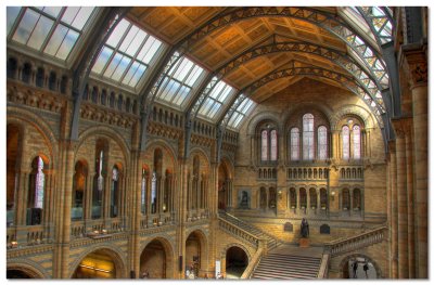 Natural History Museum Entrance Hall (1)