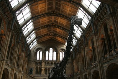 Natural Museum Entrance Hall - Straight from the Camera