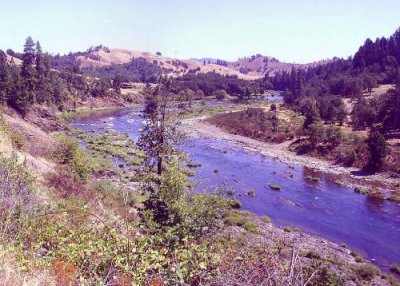 umpqua stitch.small.jpg