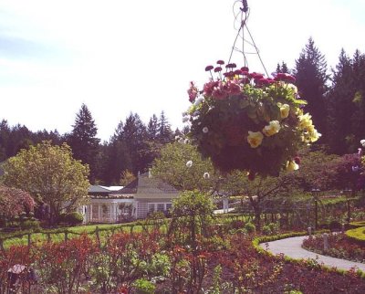 hanging basket small.jpg