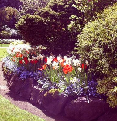 tulips and others small.jpg