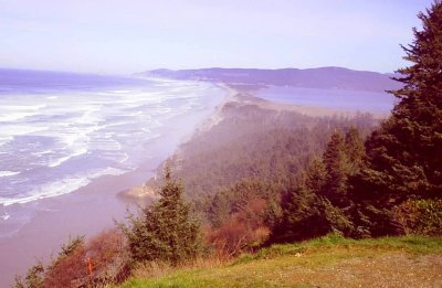 Oregon Coast 2005