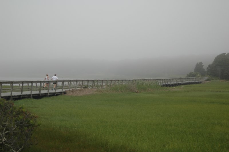 Nauset Marsh Runners