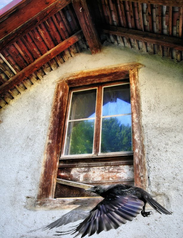 A secret shared between a window and a rook...
