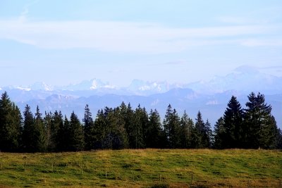 The Alps seen from Jura Mountains