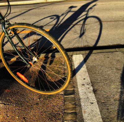 Bicycles adore winter sun...