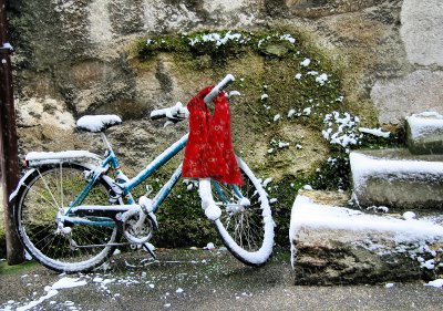 When it snows wise bikes wear a scarf