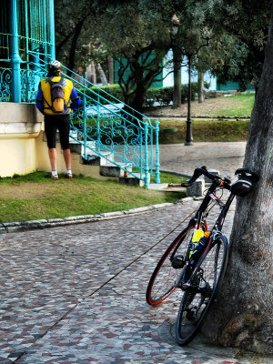 What does a cyclist in the early morning in a corner of a desert public park ?