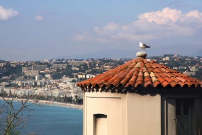 Privileged observation point