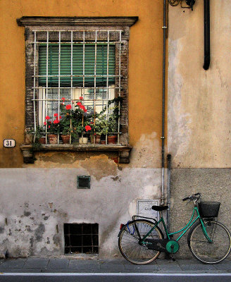 Imprisoned flowers & free bicycle