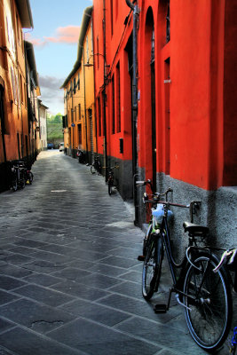 The street where bicycles live.