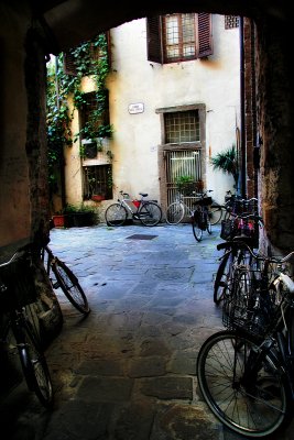 Members of the secret bicycles society gather in a hidden courtyard...