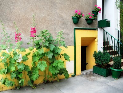 The discreet charm of secret little courtyards