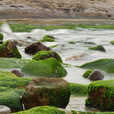Green Stones are bathed in the Northcoast