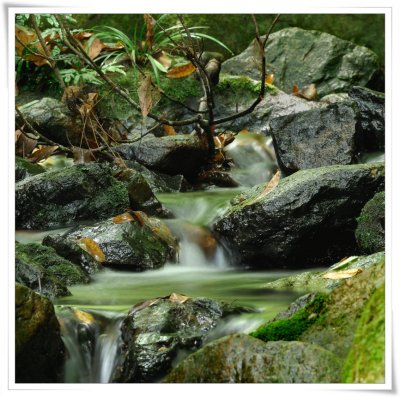 A Mountain Stream