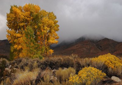 Autumn Landscape