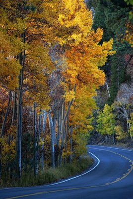 A Turn in the Road
