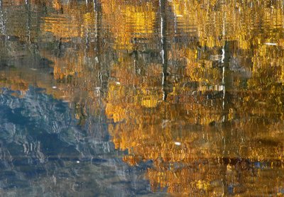 Autumn Mirror