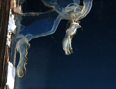 A Crack in the Window