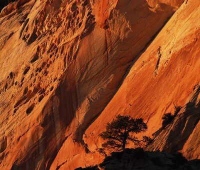  Against the Red Rocks