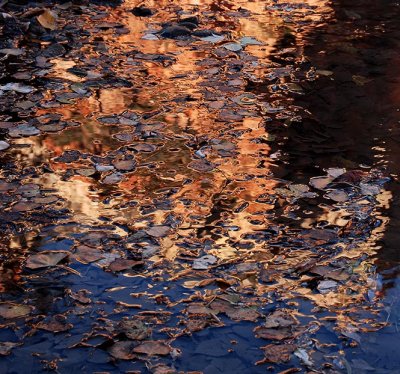 Virgin River Reflection 2